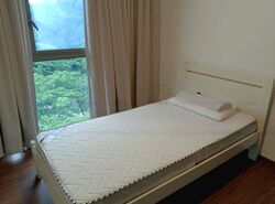 The Visionaire (D27), Condominium #459103311